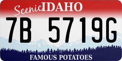 ID license plate 7B5719G