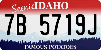 ID license plate 7B5719J