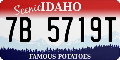 ID license plate 7B5719T