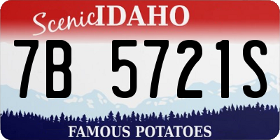 ID license plate 7B5721S