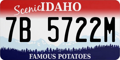 ID license plate 7B5722M