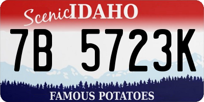 ID license plate 7B5723K