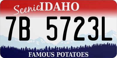 ID license plate 7B5723L