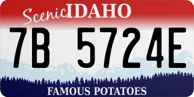 ID license plate 7B5724E