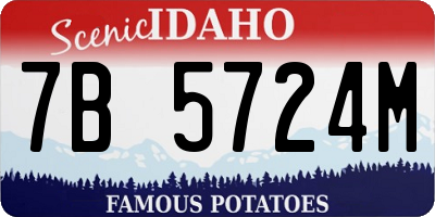ID license plate 7B5724M