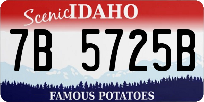 ID license plate 7B5725B