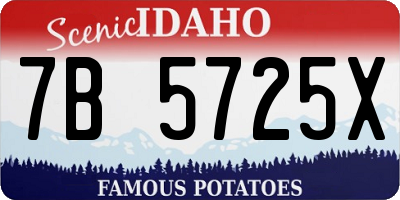 ID license plate 7B5725X