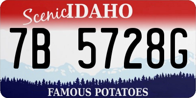 ID license plate 7B5728G