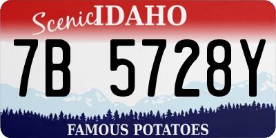 ID license plate 7B5728Y