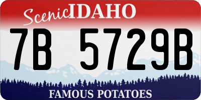 ID license plate 7B5729B