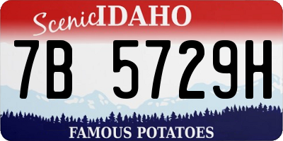 ID license plate 7B5729H
