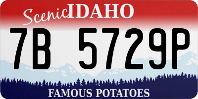 ID license plate 7B5729P