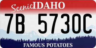 ID license plate 7B5730C