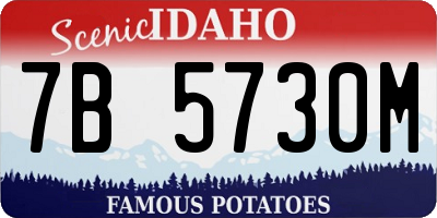 ID license plate 7B5730M