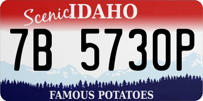 ID license plate 7B5730P