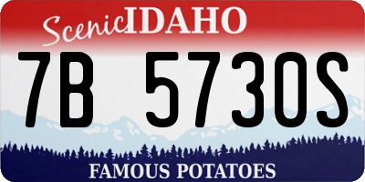 ID license plate 7B5730S