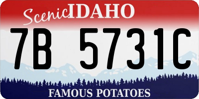 ID license plate 7B5731C