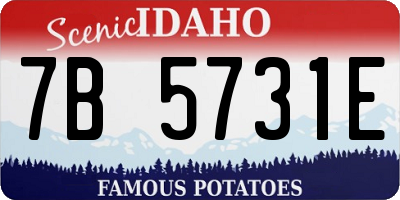 ID license plate 7B5731E