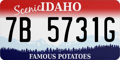 ID license plate 7B5731G