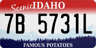 ID license plate 7B5731L