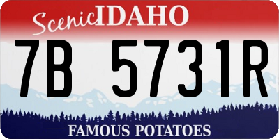 ID license plate 7B5731R