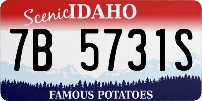 ID license plate 7B5731S