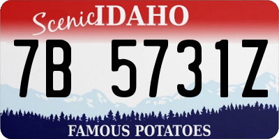 ID license plate 7B5731Z