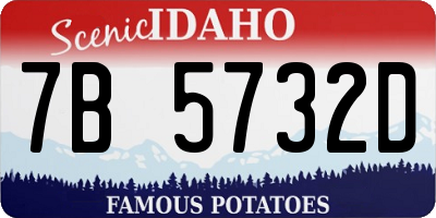 ID license plate 7B5732D