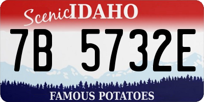 ID license plate 7B5732E