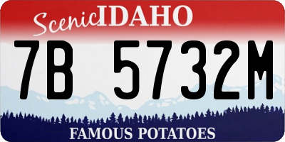 ID license plate 7B5732M