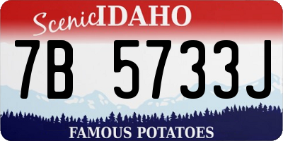ID license plate 7B5733J