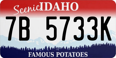 ID license plate 7B5733K