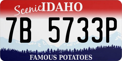 ID license plate 7B5733P