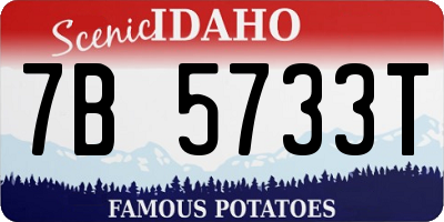ID license plate 7B5733T