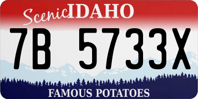 ID license plate 7B5733X