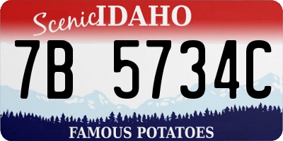 ID license plate 7B5734C