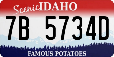 ID license plate 7B5734D