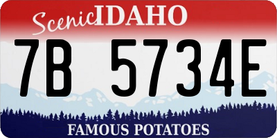 ID license plate 7B5734E