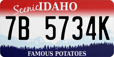 ID license plate 7B5734K