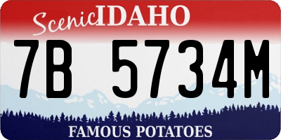 ID license plate 7B5734M
