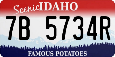 ID license plate 7B5734R