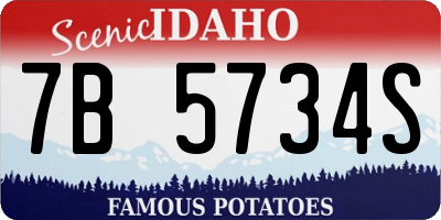 ID license plate 7B5734S