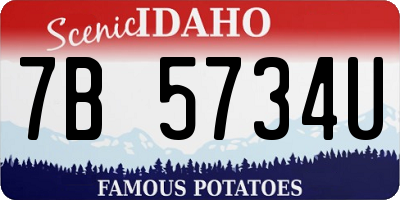 ID license plate 7B5734U