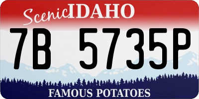 ID license plate 7B5735P