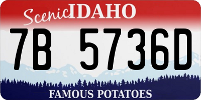 ID license plate 7B5736D