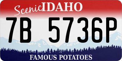 ID license plate 7B5736P