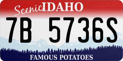ID license plate 7B5736S