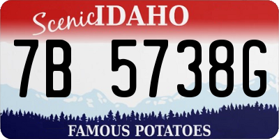 ID license plate 7B5738G