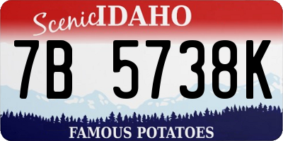 ID license plate 7B5738K
