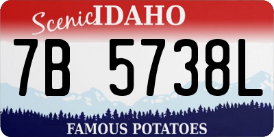 ID license plate 7B5738L